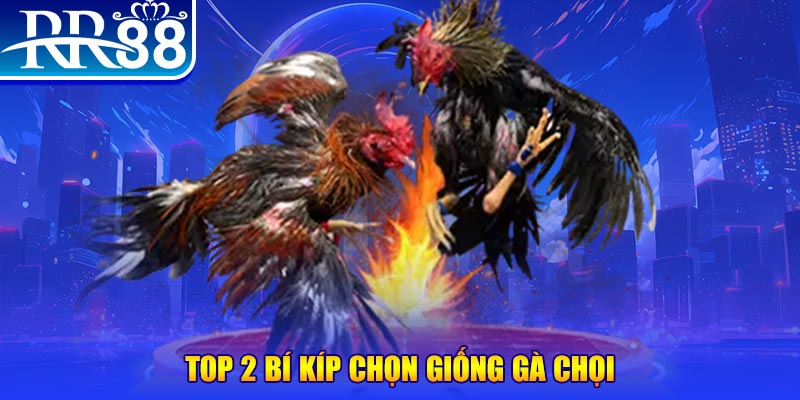 quocte88 bắn cá h5