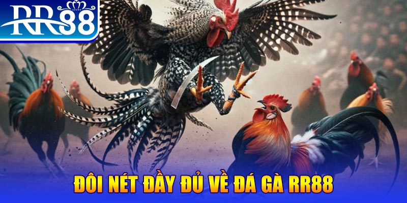 quocte88 gà chọi hoà phong