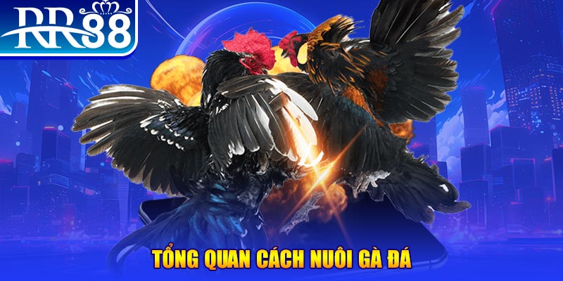 quocte88 xổ số thứ ba