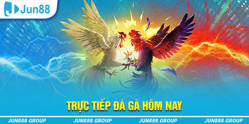 quocte88 trực tiếp đá gà thomo