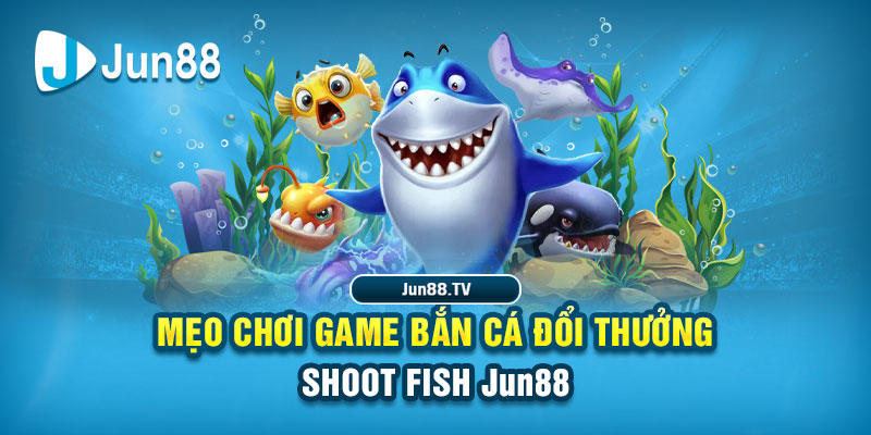 quocte88 tải game đánh bài online về máy tính