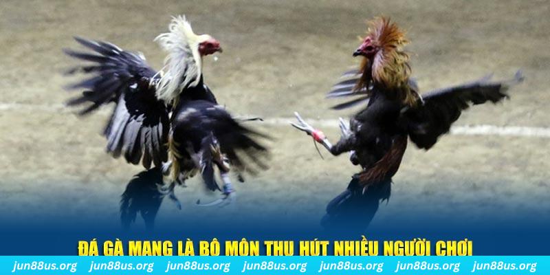 quocte88 xổ số long an