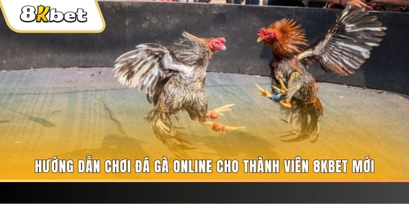 quocte88 nổ hũ đổi thưởng . ai
