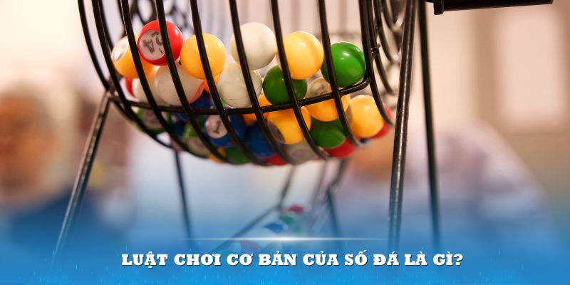 quocte88 Đĩa màu ace