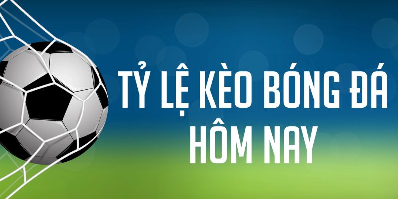 quocte88 ÁT CHỦ MÁY HOA QUẢ THẦN TÀI