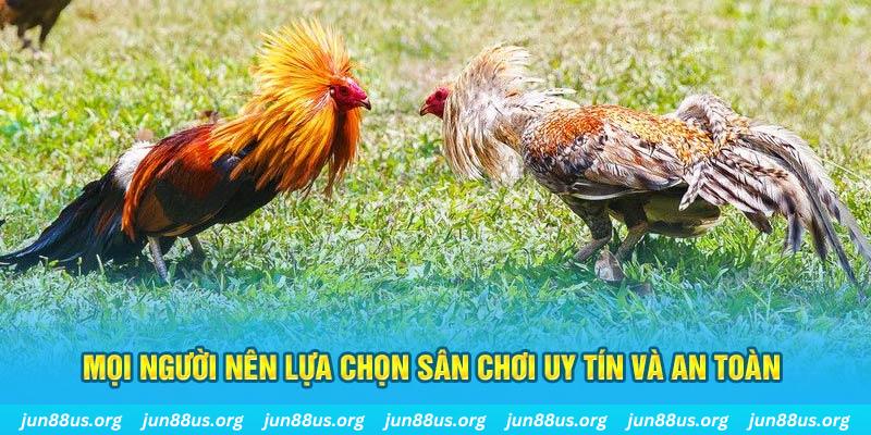 quocte88 Tài Xỉu
