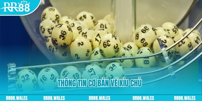quocte88 xổ số đà nẵng
