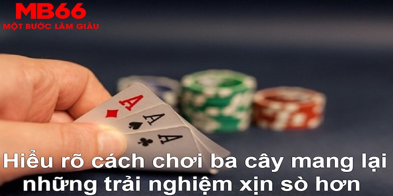 quocte88 DB Trực Tuyến