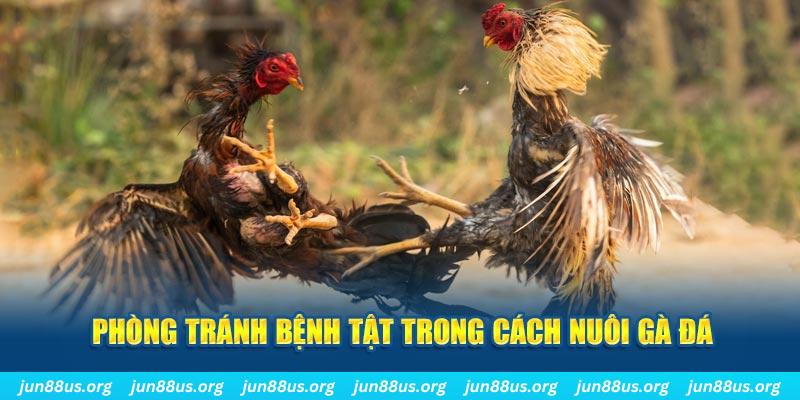 quocte88 natural” trong baccarat nghĩa là gì？