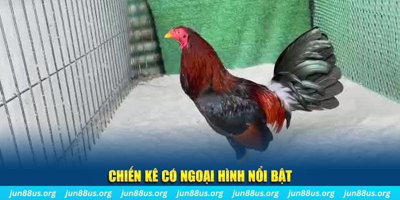 quocte88 nhạc slot là gì